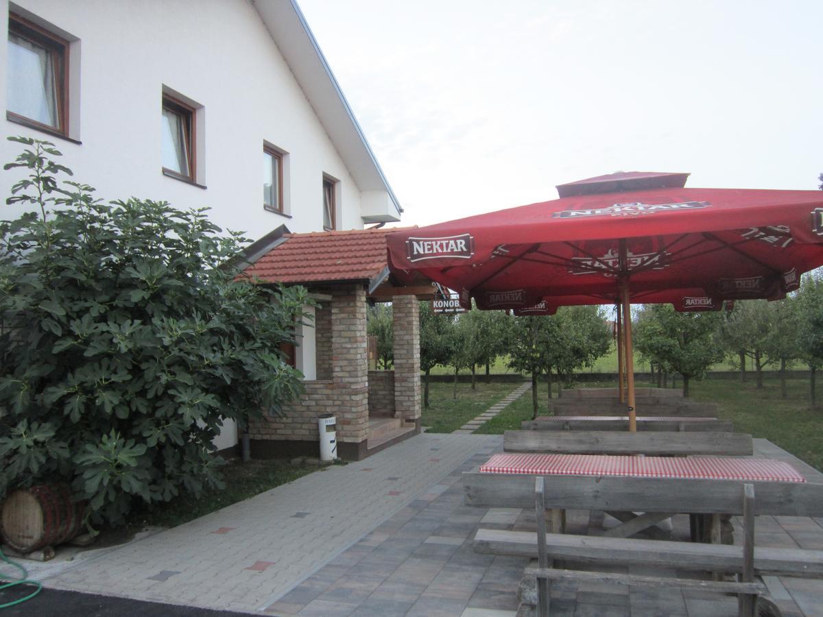 Pansion Laktasi Hostel Ngoại thất bức ảnh